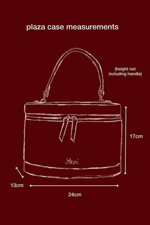 Plaza Case in Pistachio